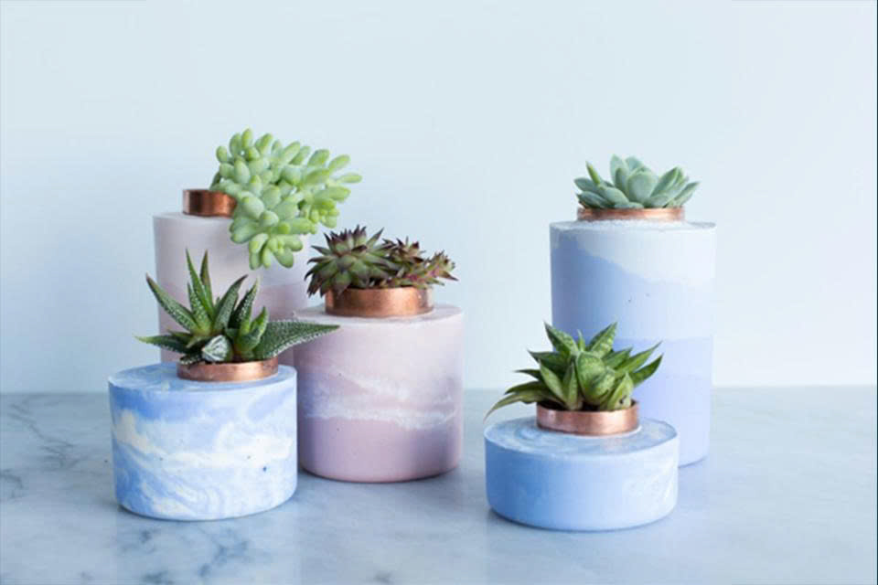 Chậu cây cảnh mini thép