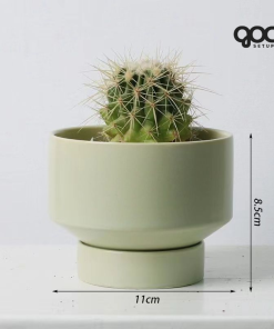 Trang chủ 40 SPXR003