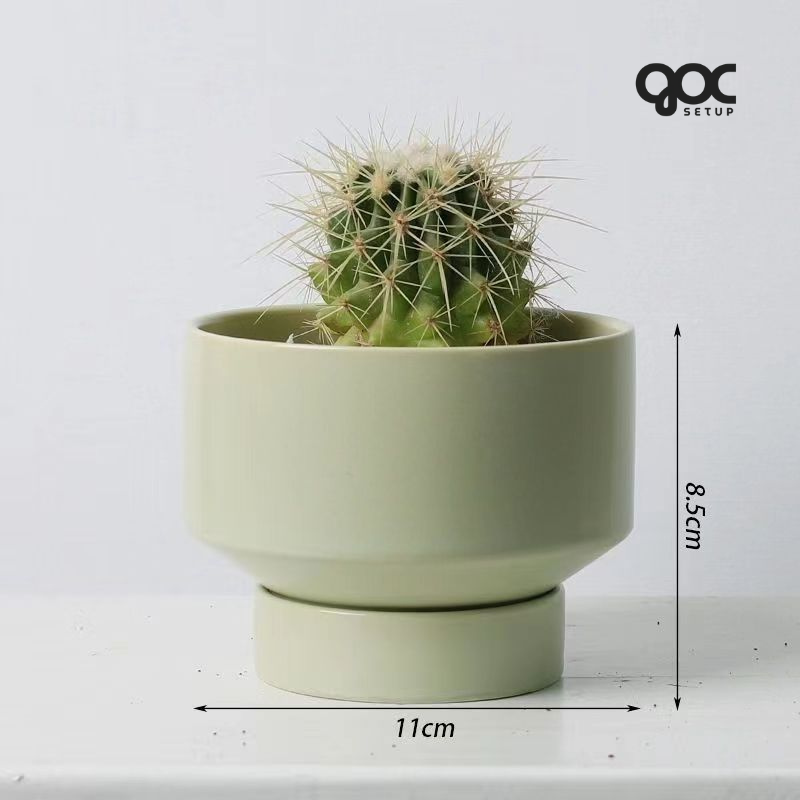 Xương rồng Nam Mỹ 'Saguaro' - Chậu gốm SPXR001 1 SPXR003