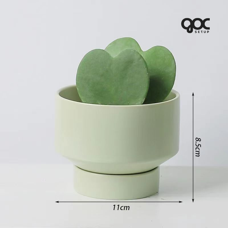 Xương rồng Nam Mỹ 'Saguaro' - Chậu gốm SPXR001 2 Xương rồng Nam Mỹ 'Saguaro' - Chậu gốm SPXR001 - Ảnh 2