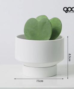 Xương rồng Nam Mỹ 'Saguaro' - Chậu gốm SPXR001 7 SPXR003