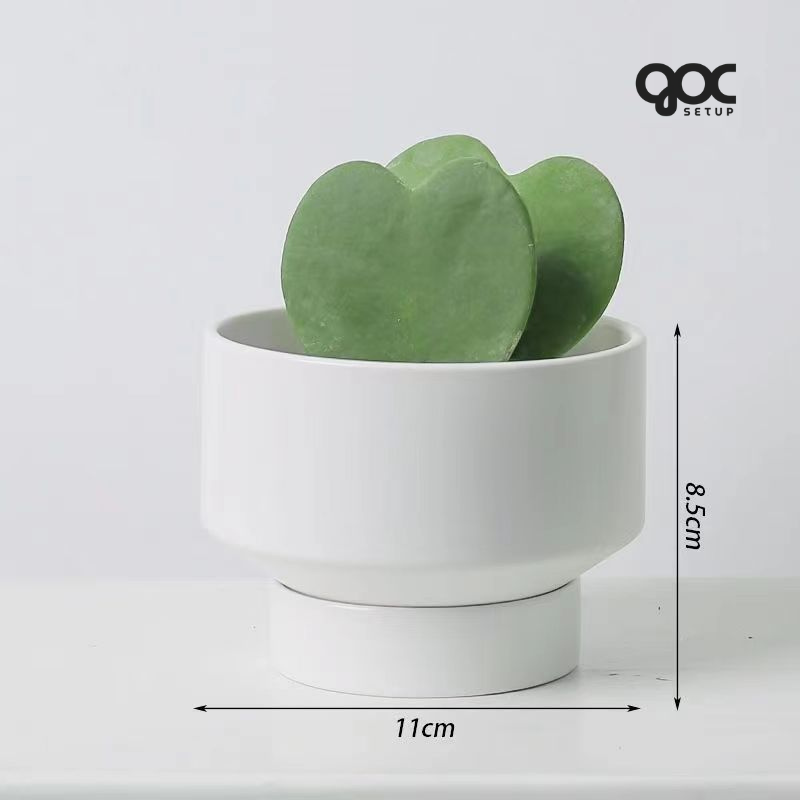 Xương rồng Nam Mỹ 'Saguaro' - Chậu gốm SPXR001 3 SPXR003