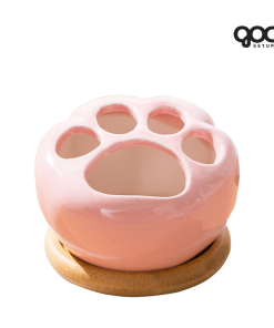 Sen đá Hạ Long ‘Sensation’ - Chậu sứ SPSD001 8 2