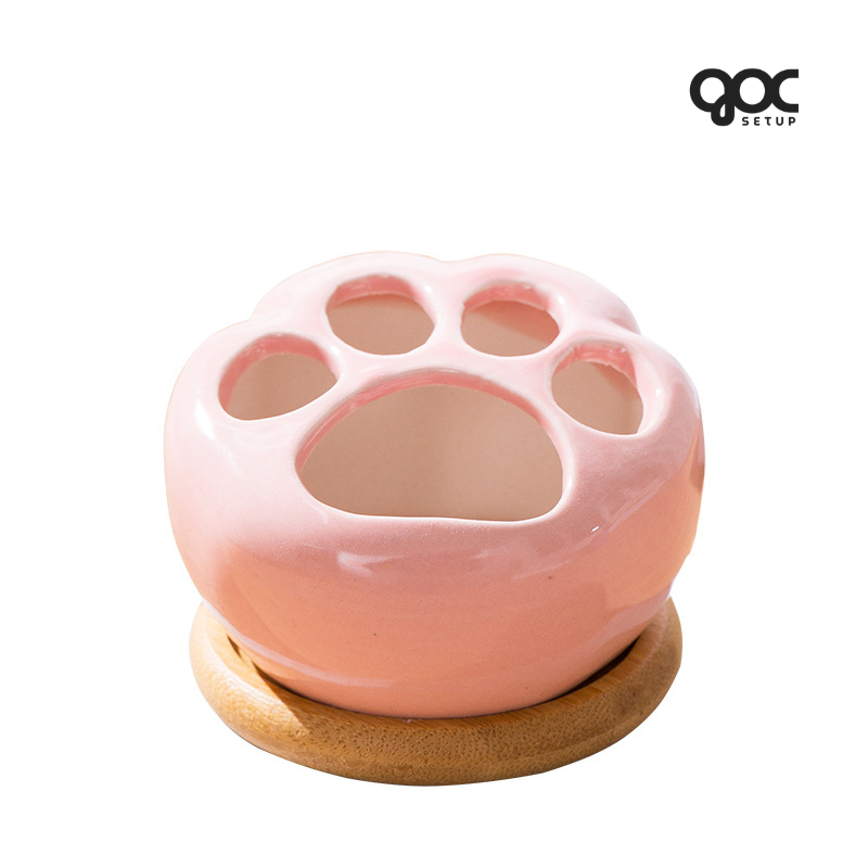 Sen đá Hạ Long ‘Sensation’ - Chậu sứ SPSD001 3 Sen đá Hạ Long ‘Sensation’ - Chậu sứ SPSD001 - Ảnh 3