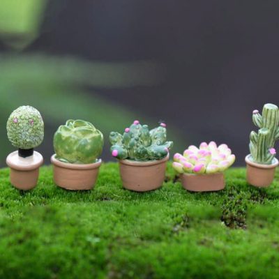 Chậu Cây Cảnh Mini Giá Rẻ