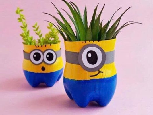 Trang Trí Chậu Cây Bằng Chai Nhựa – Cách Tái Chế Sáng Tạo, Xanh Và Đẹp 4 Trang tri chau cay bang chai nhua ve hinh minion