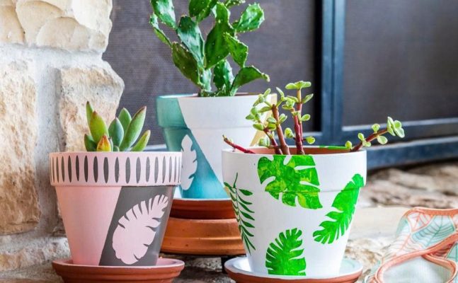 Vẽ trang trí chậu cây cảnh